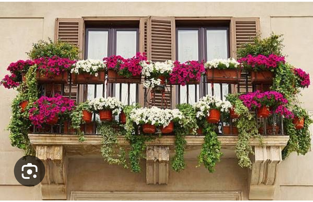 Home decor and fitness